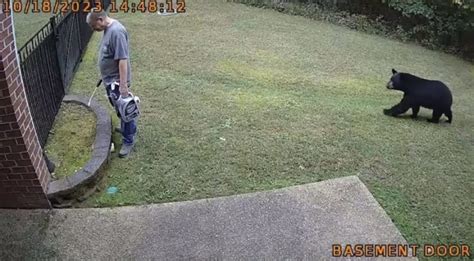 Watch: Bear creeps up behind Virginia man as he tends his backyard